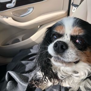 Meet your Posher, Angee